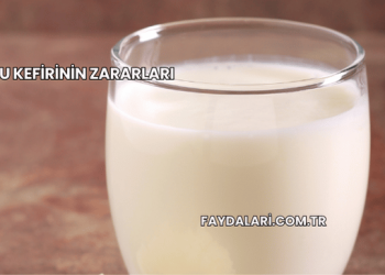 Su Kefirinin Zararları