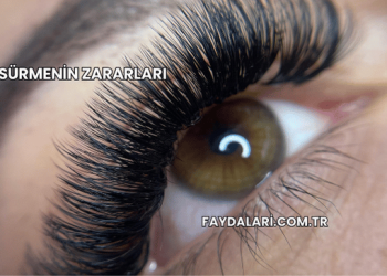 Sürmenin Zararları