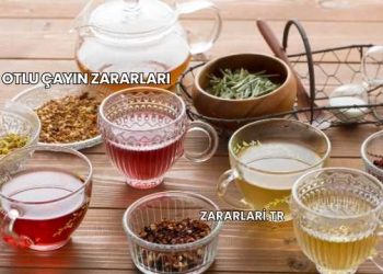 9 Otlu Çayın Zararları