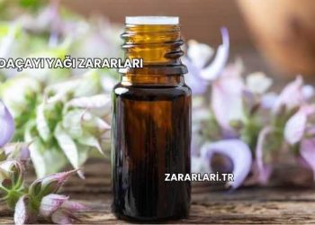 Adaçayı Yağı Zararları