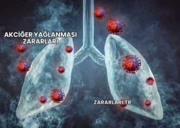 Akciğer Yağlanması Zararları