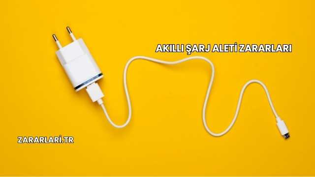 Akıllı Şarj Aleti Zararları