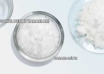 Alcohol Denat Zararları