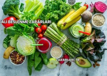 Alkali Beslenme Zararları