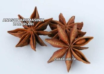 Anason Aromasının Zararları