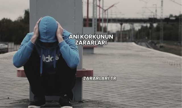 Ani Korkunun Zararları