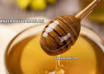 Anzer Balı Zararları