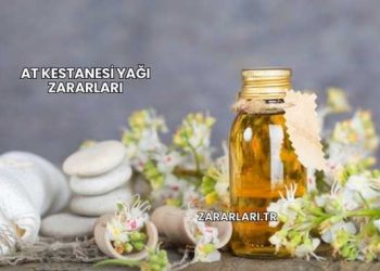 At Kestanesi Yağı Zararları