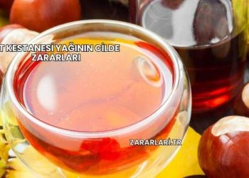 At Kestanesi Yağının Cilde Zararları