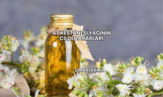 At Kestanesi Yağının Cilde Zararları