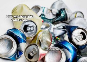 Atık Maddelerin Zararları
