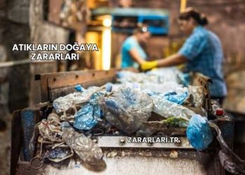 Atıkların Doğaya Zararları