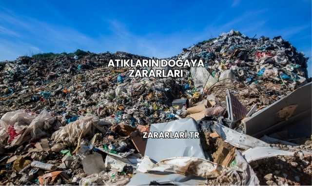 Atıkların Doğaya Zararları
