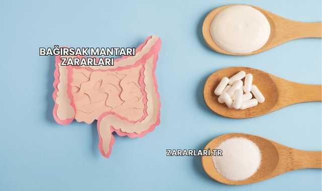 Bağırsak Mantarı Zararları