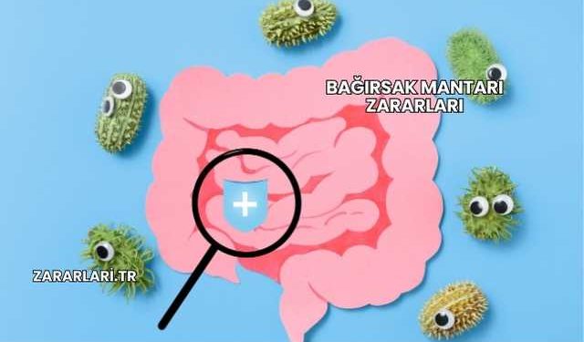 Bağırsak Mantarı Zararları