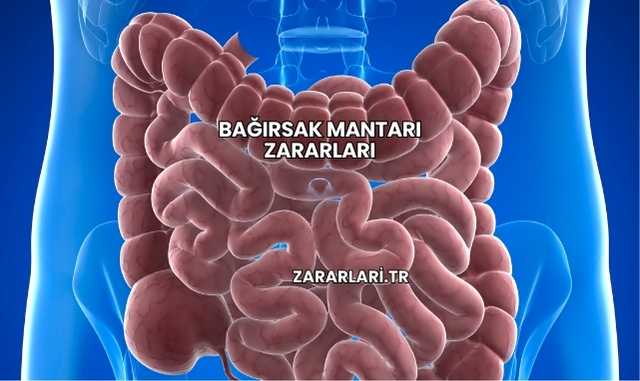Bağırsak Mantarı Zararları