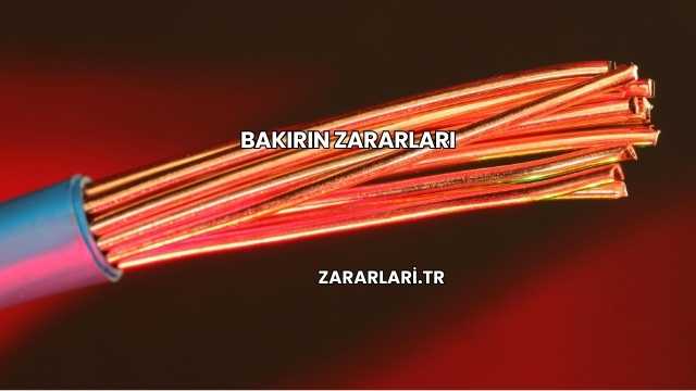 Bakırın Zararları
