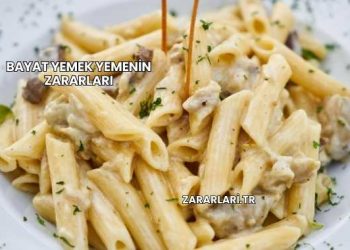 Bayat Yemek Yemenin Zararları