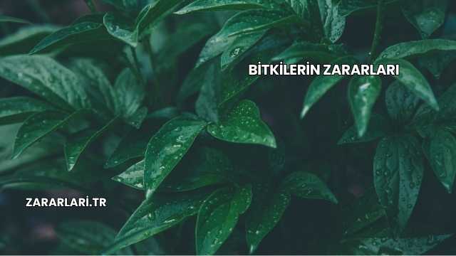 Bitkilerin Zararları