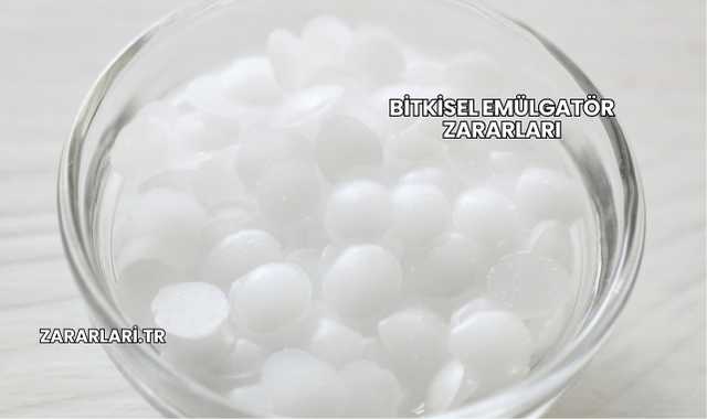 Bitkisel Emülgatör Zararları