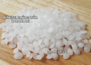 Bitkisel Emülgatör Zararları