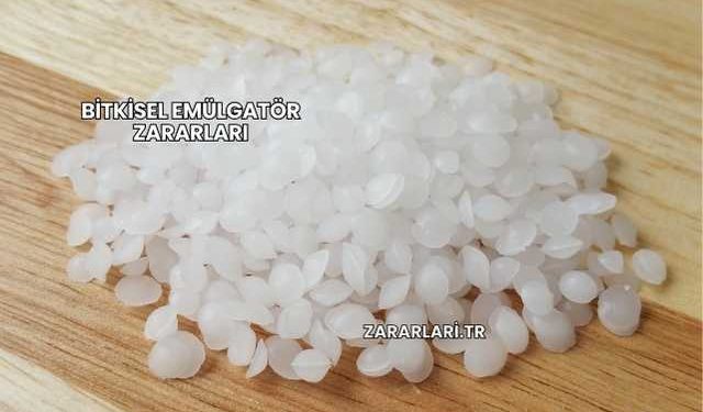 Bitkisel Emülgatör Zararları