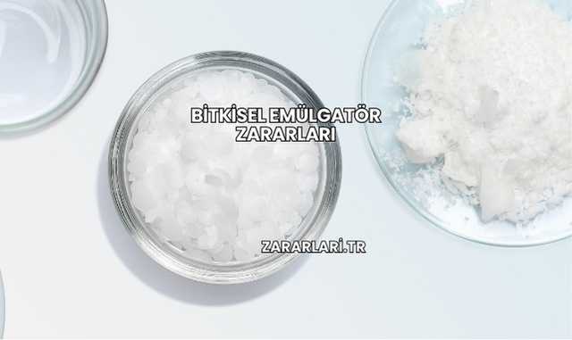 Bitkisel Emülgatör Zararları