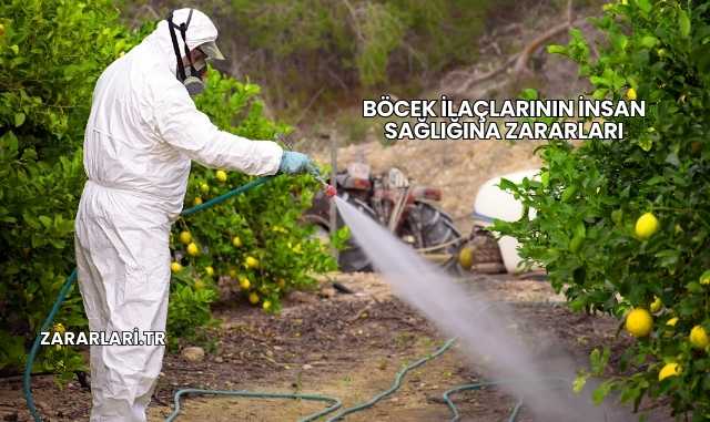 Böcek İlaçlarının İnsan Sağlığına Zararları