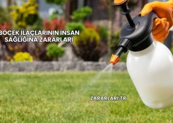 Böcek İlaçlarının İnsan Sağlığına Zararları