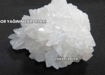 Bor Yağının Zararları