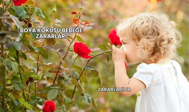 Boya Kokusu Bebeğe Zararları