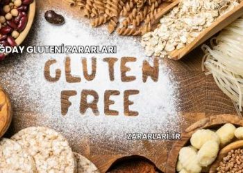 Buğday Gluteni Zararları