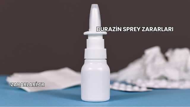 Burazin Sprey Zararları