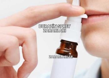 Burazin Sprey Zararları