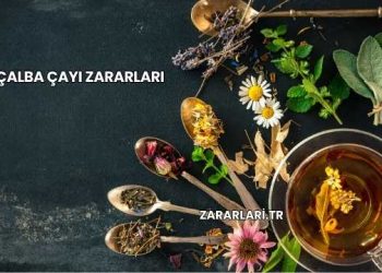 Çalba Çayı Zararları