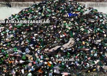 Cam Atıkların Zararları