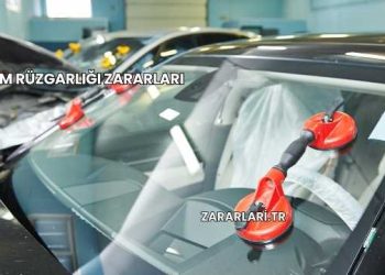 Cam Rüzgarlığı Zararları