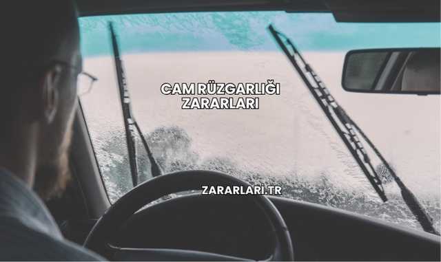 Cam Rüzgarlığı Zararları