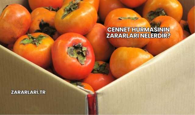 Cennet Hurmasının Zararları Nelerdir?