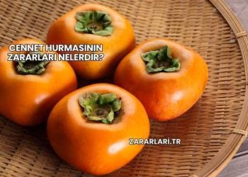 Cennet Hurmasının Zararları Nelerdir?