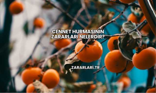 Cennet Hurmasının Zararları Nelerdir?