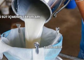 Çiğ Süt İçmenin Zararları