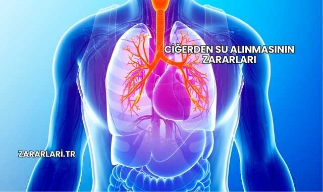 Ciğerden Su Alınmasının Zararları