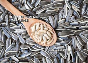 Çok Çekirdek Yemenin Zararları