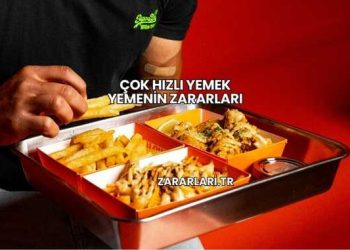 Çok Hızlı Yemek Yemenin Zararları