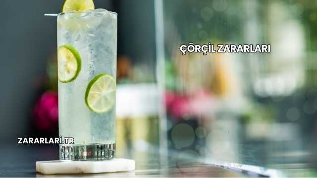 Çörçil Zararları