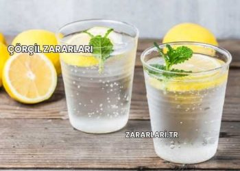 Çörçil Zararları