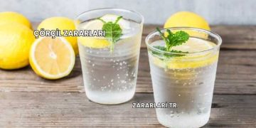 Çörçil Zararları