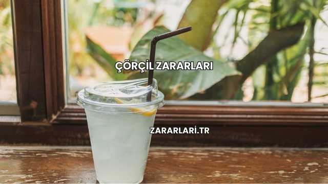 Çörçil Zararları