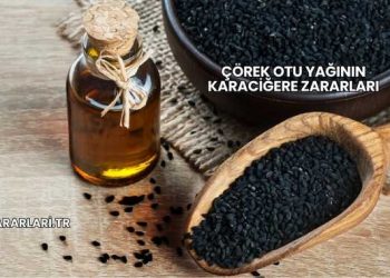 Çörek Otu Yağının Karaciğere Zararları